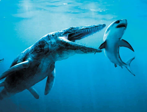 Sinopliosaurus Wiki Prehistórico FANDOM powered by Wikia