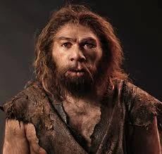 Resultado de imagen de neanderthalensis