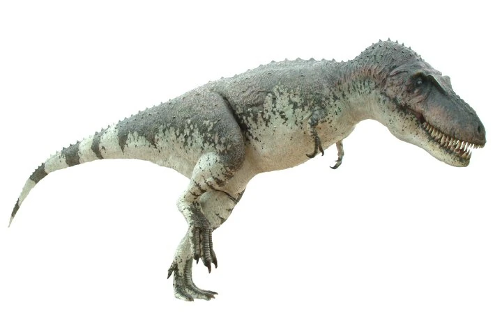 Daspletosaurus (PAS) Primeval Fanon Wiki FANDOM powered by Wikia