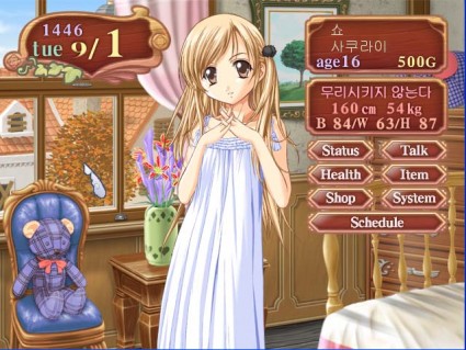 princess maker 4 english princess maker 4 english