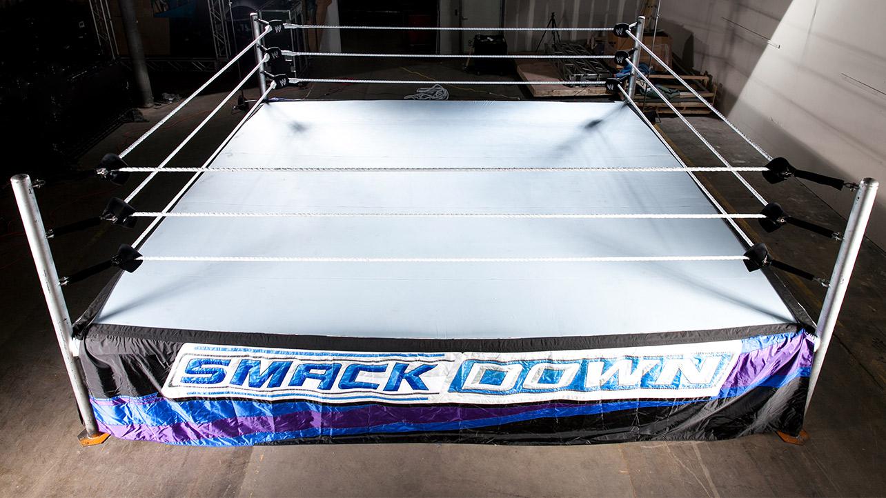 the real wwe ring