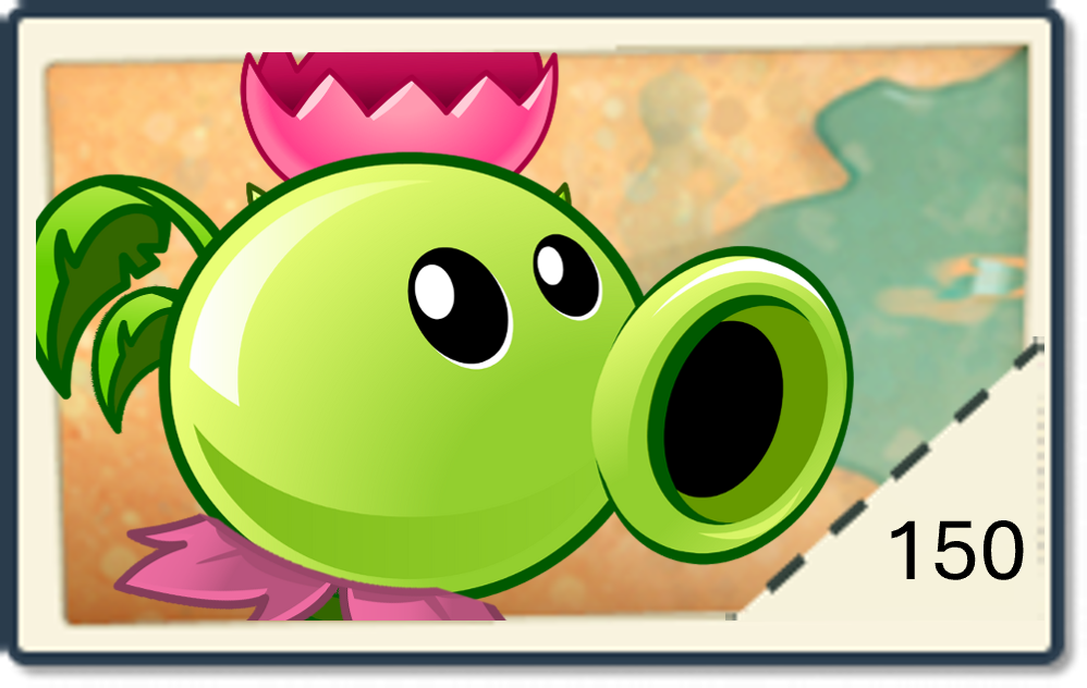 Seed