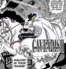 WhiteStallionCavendish