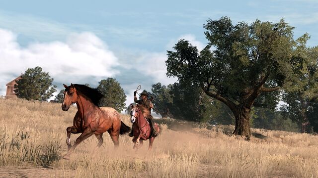 File:Rdr horse04.jpg