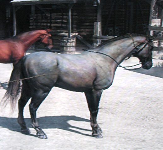File:Blueroan3.jpg