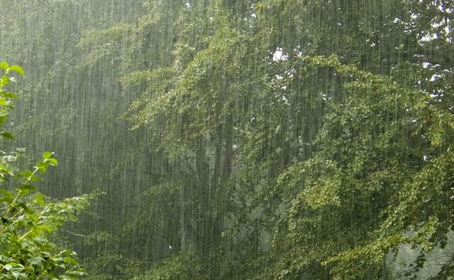 File:Rain24-hours.jpg