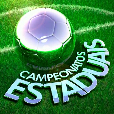 File:Logo - Campeonatos Estaduais.jpg