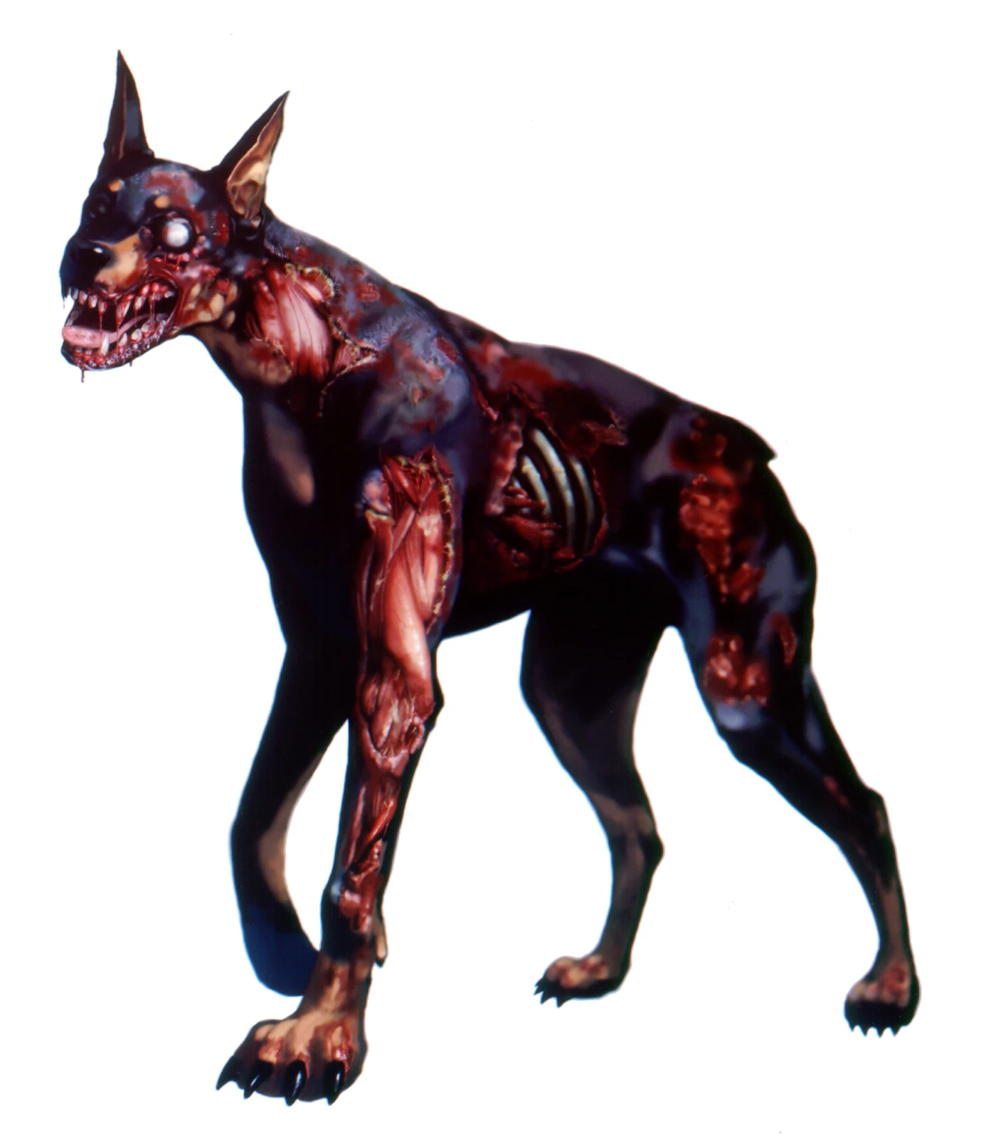 image de chien zombie