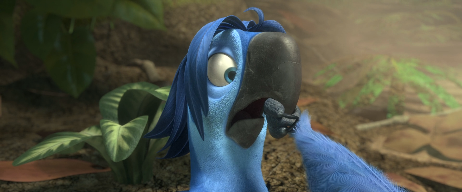 Image (BB 12) Roberto.png Rio Wiki Fandom powered by Wikia
