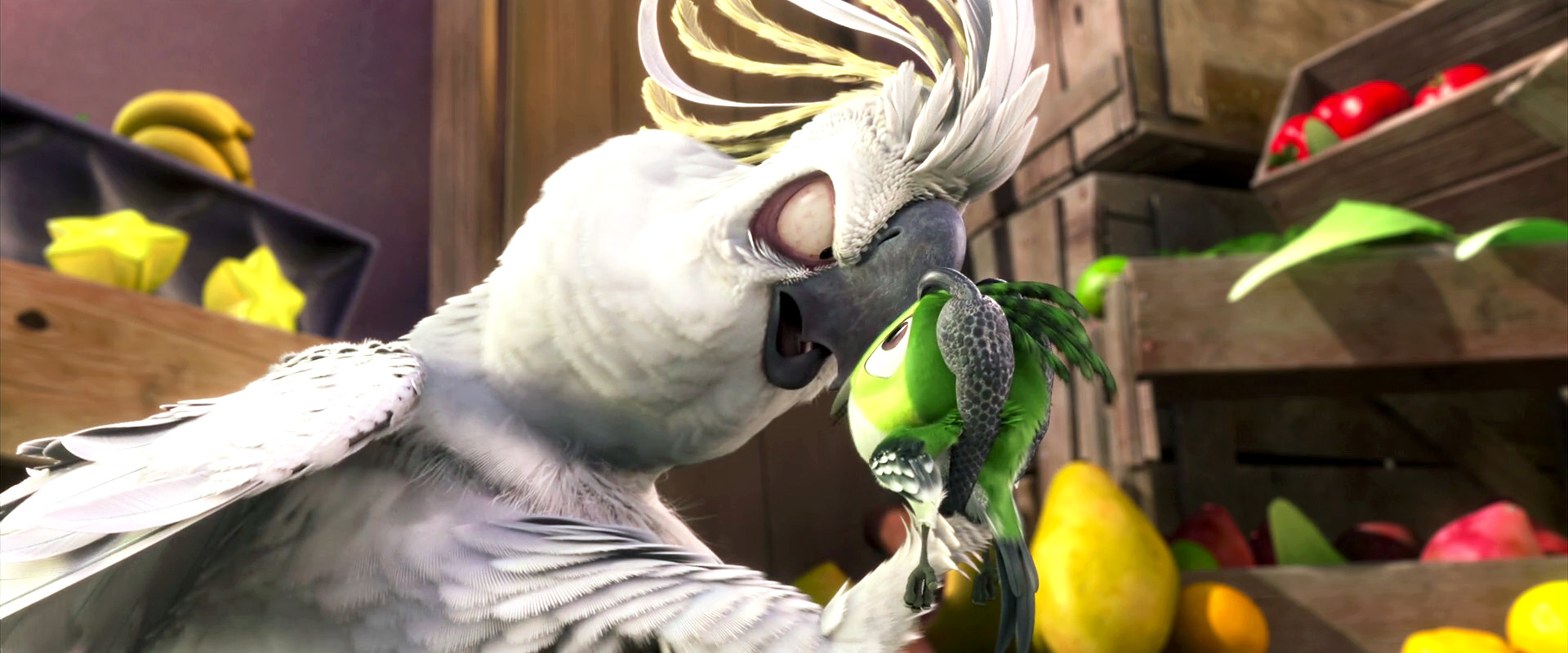 Image - Rio (movie) wallpaper - Nigel Intimidating Scaredy Bird.jpg
