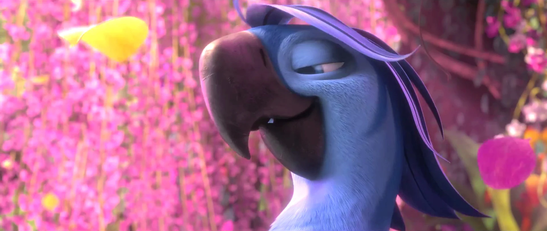 Image Roberto's Style.jpg Rio Wiki Fandom powered by Wikia