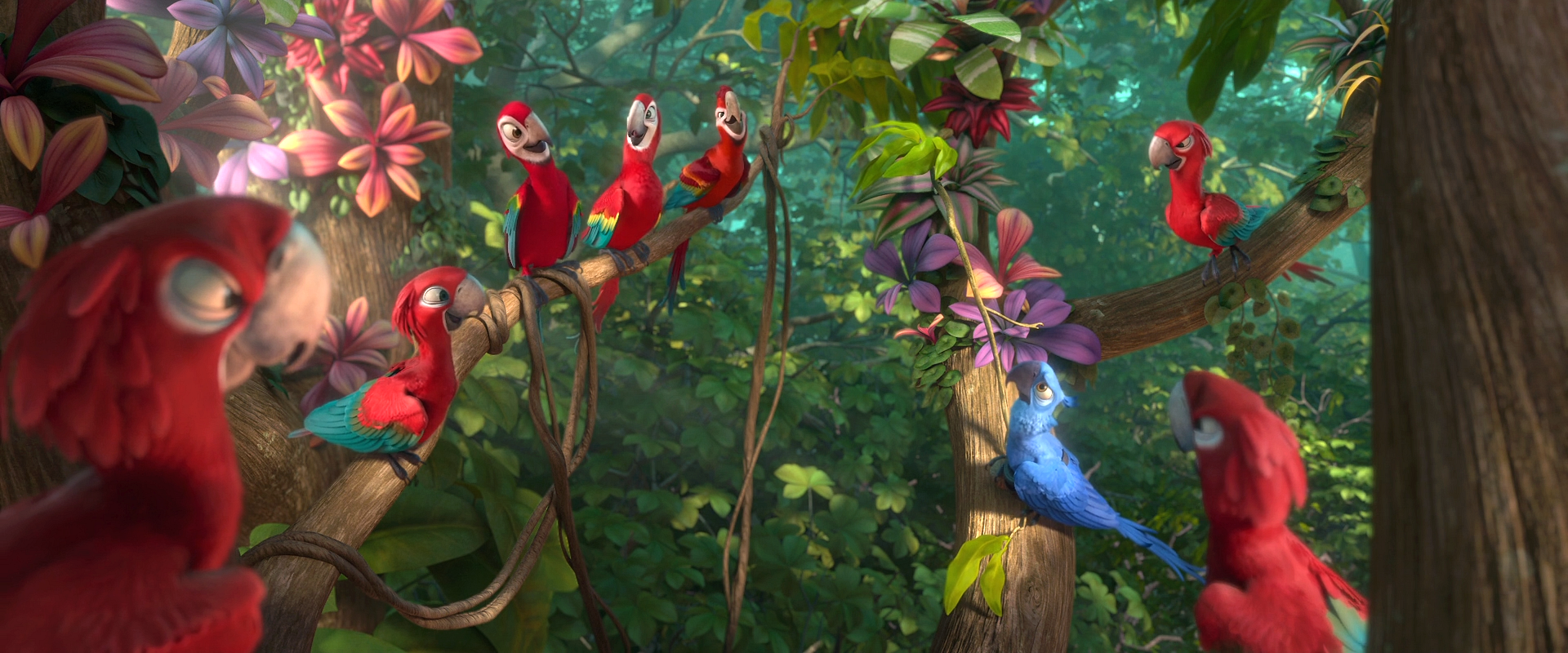 Red Macaw Tribe | Rio Wiki | Fandom powered by Wikia