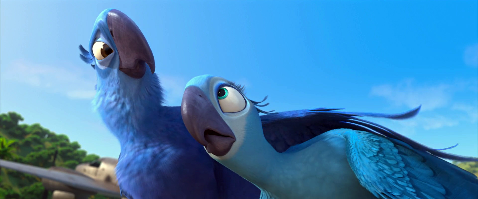 Image Blu Jewel jpg Rio Wiki Fandom Powered By Wikia image-blu-jewel-jpg-rio-wiki-fandom-powered-by-wikia