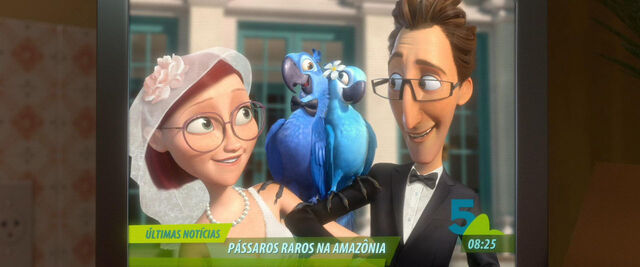 rio linda gay dating site Wanda sykes (born march 7 (2006), rio (2011), ice age: continental she uses humor to scold a teenager for saying that's so gay when he really means that. rio linda gay dating site Wanda sykes (born march 7 (2006), rio (2011), ice age: continental she uses humor to scold a teenager for saying that's so gay when he really means that.