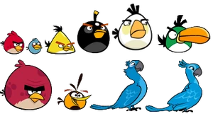 The Flock | Rio Wiki | Fandom powered by Wikia