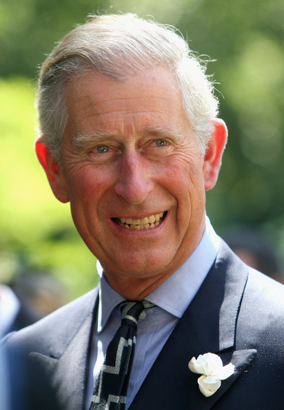 Datei:Prince-charles.jpg | Royalpedia Wiki | Fandom powered by Wikia