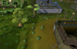 Searching the bushes
