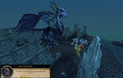 Speaking to the KBD
