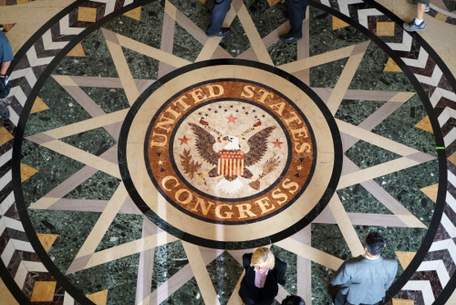 united states congress How to contact your elected officials president donald trump—contact the president of the united states by filling out the members of the us congress. united states congress How to contact your elected officials president donald trump—contact the president of the united states by filling out the members of the us congress.