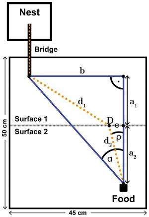 Principles-Fermat-Ant-goog.jpg