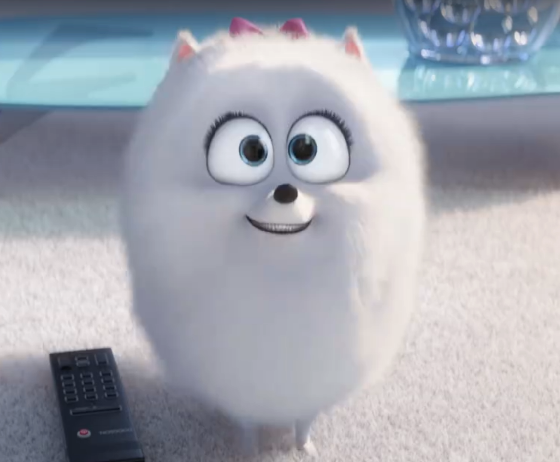 Secret Life Of Pets Wikia