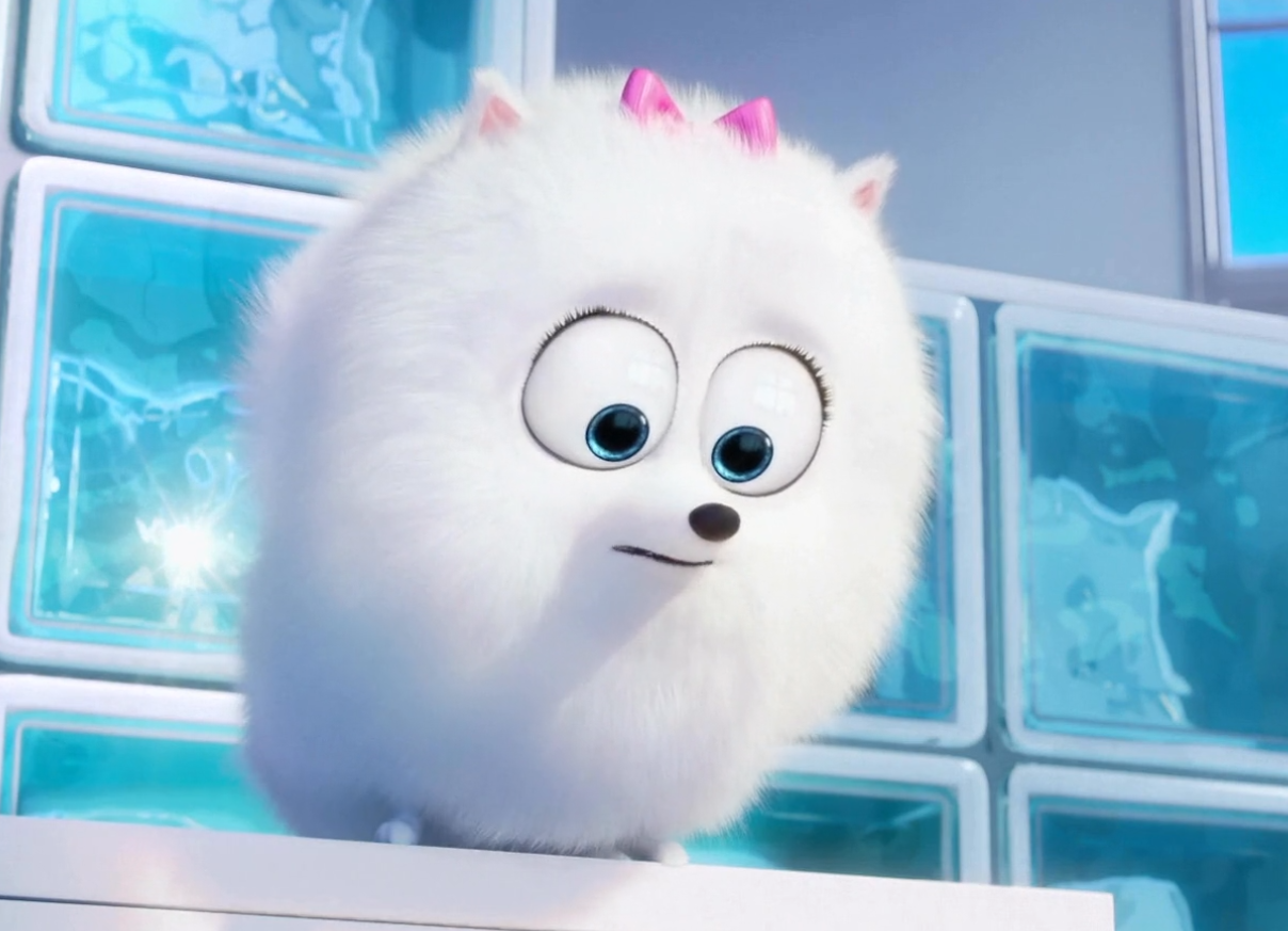 the secret life of pets movie gidget the secret life of pets movie gidget