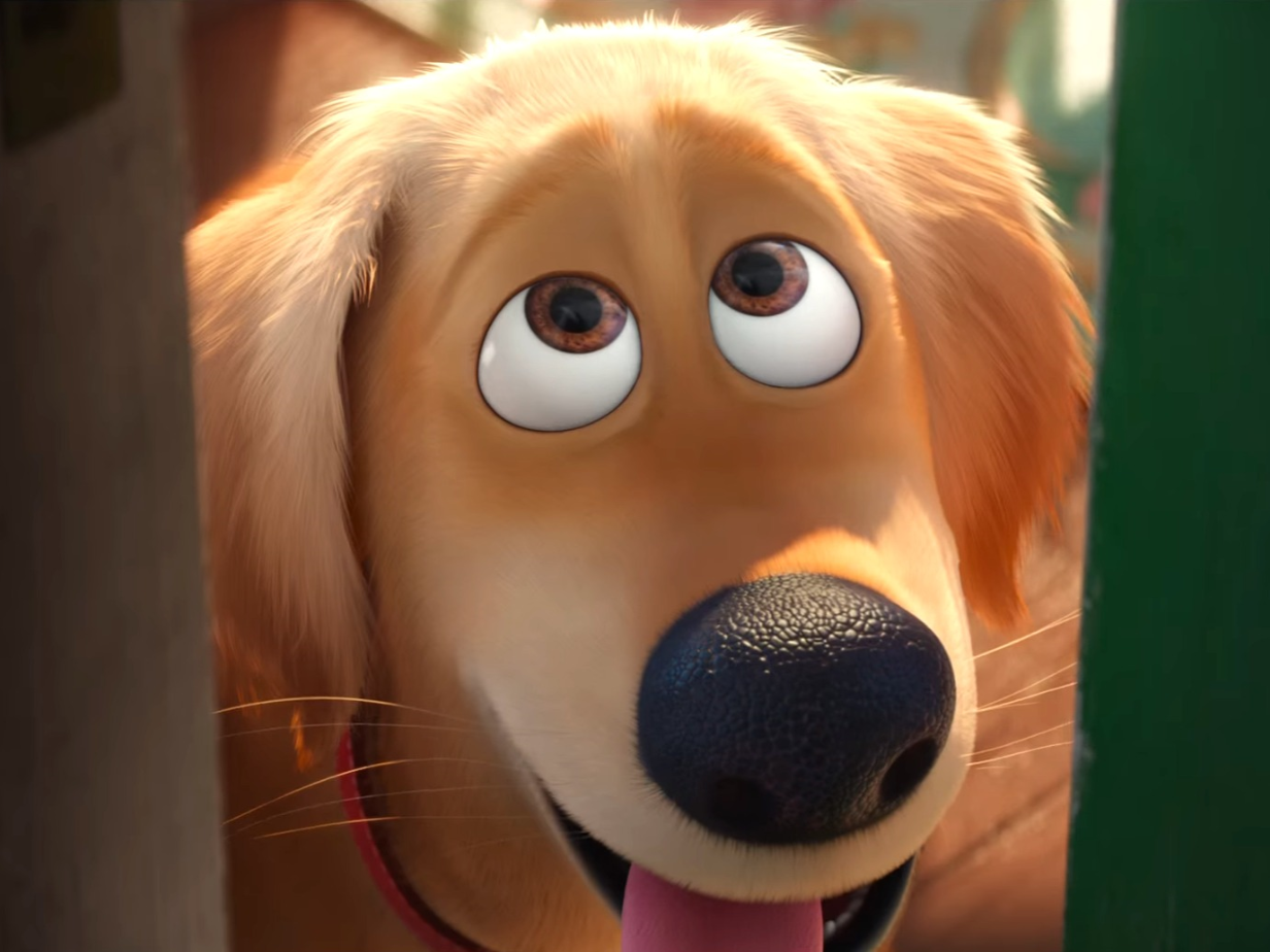 pets golden retriever the golden retriever the secret of pets wiki fandom powered by wikia pets golden retriever the golden retriever the secret of pets wiki fandom powered by wikia