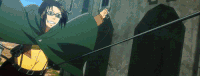 Hange flies
