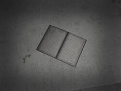 Surveillance room report
