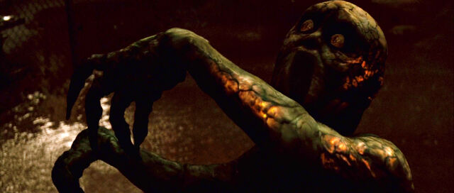 File:Greychildfilm.jpg
