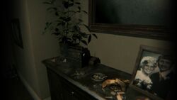 P.T. Radio