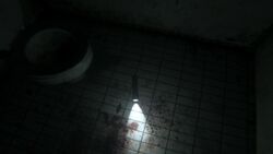 LinternaP.T.