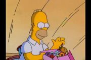 HomerDuck