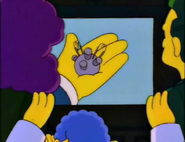 185