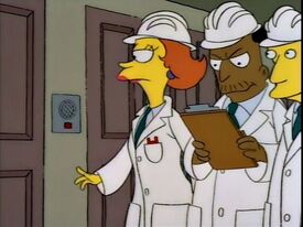 Inspectors
