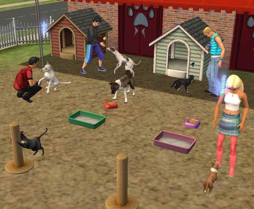 the sims medieval testingcheatsenabled the sims medieval testingcheatsenabled
