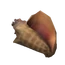 Caracola