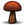 Porcini