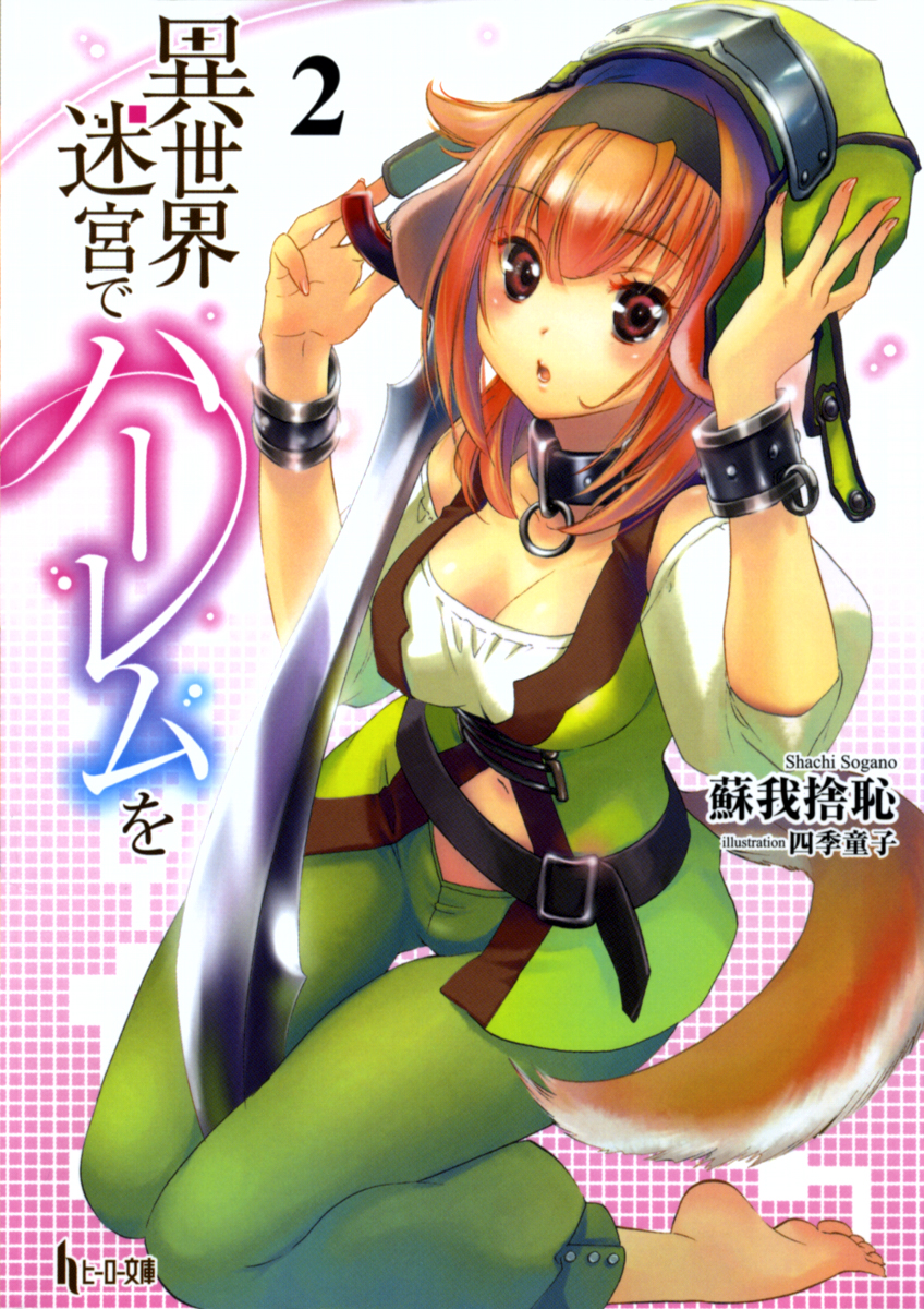Slave Harem In The Labyrinth Of The Otherworld Light Novel: Volume 2 | Slave Harem in the Labyrinth of the Other World