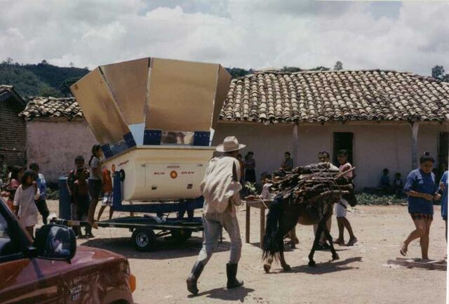File:Villager In Town.jpg