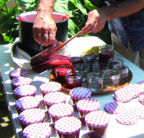 File:Erdbeermarmelade1.jpg