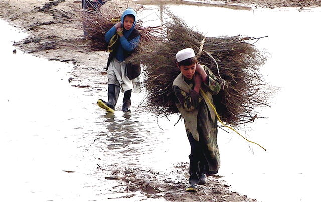 File:Afghan children carrying brush.jpg