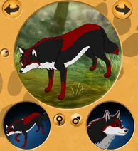 Bloodfang normal wolf.png (509 KB) Bloodfang normal wolf