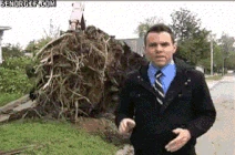 Funny gifs close call with a chainsaw-s296x196-261909-580a.gif (1.89 MB) Funny gifs close call with a chainsaw-s296x196-261909-580a