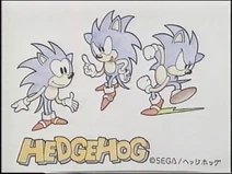 Hedgehog