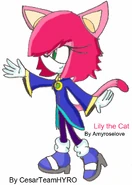 Lily the Cat