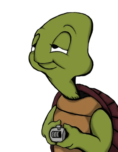 Timmy The Turtle