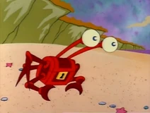 Treasure crab