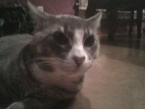 2012-12-27-192636.jpg (50 KB) 2012-12-27-192636