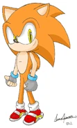 Speedy the Hedgehog HYRO
